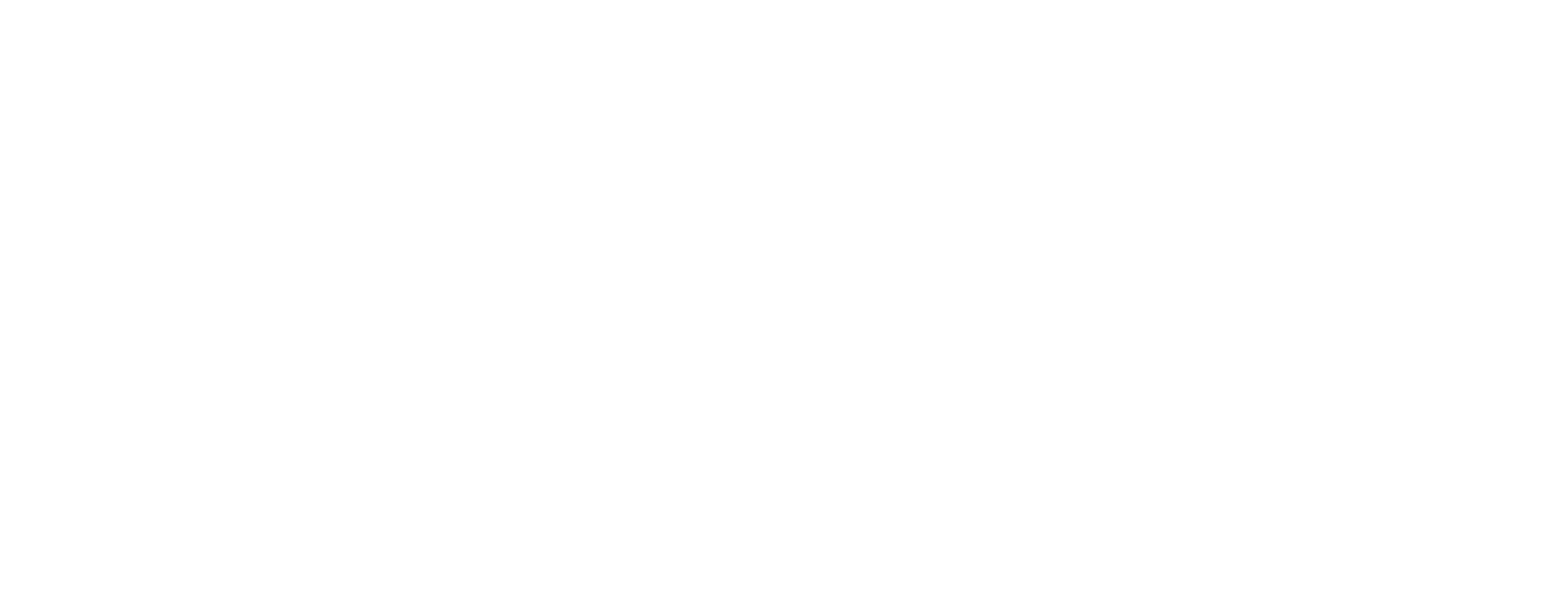 Logo Long - Blanc - Karine Steurs Psychologue et Coach en entreprise - 2