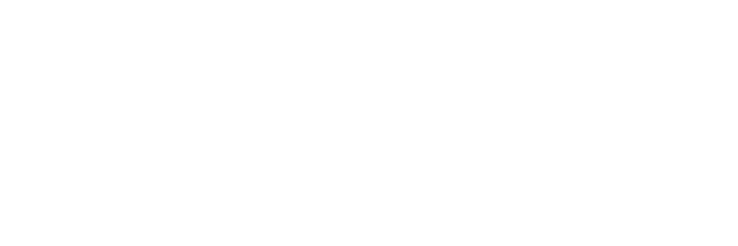Logo Long - Blanc - Karine Steurs Psychologue et Coach en entreprise